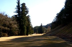 唐沢GC 7番ホール