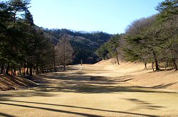 唐沢GC 8番ホール