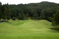 鹿沼ﾌﾟﾚﾐｱGC 13番ホール