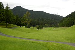 鹿沼ﾌﾟﾚﾐｱGC 17番ホール