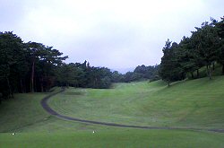 矢板CC 11番ホール