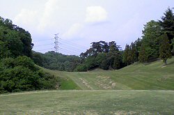 鳳凰GC 11番ホール