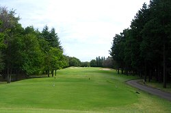 EAGLEPOINTGOLFCLUB 13番ホール