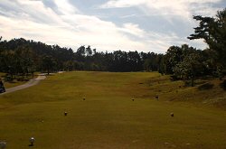 ｾﾝﾄﾊﾟｲﾝｽﾞ大山GC 1番ホール