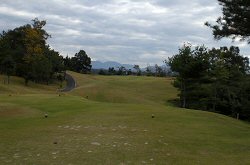 ｾﾝﾄﾊﾟｲﾝｽﾞ大山GC 15番ホール