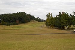 ｾﾝﾄﾊﾟｲﾝｽﾞ大山GC 16番ホール