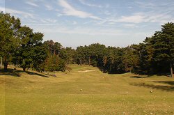 ｾﾝﾄﾊﾟｲﾝｽﾞ大山GC 2番ホール