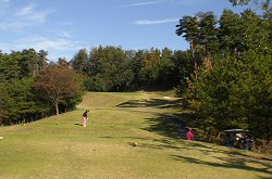 ｾﾝﾄﾊﾟｲﾝｽﾞ大山GC 3番ホール