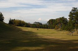 ｾﾝﾄﾊﾟｲﾝｽﾞ大山GC 5番ホール