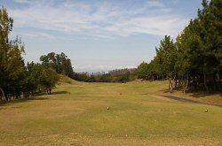 ｾﾝﾄﾊﾟｲﾝｽﾞ大山GC 6番ホール