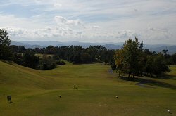 ｾﾝﾄﾊﾟｲﾝｽﾞ大山GC 8番ホール