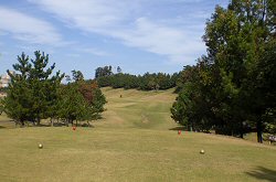 ｾﾝﾄﾊﾟｲﾝｽﾞ大山GC 9番ホール