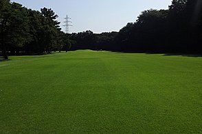 小金井カントリー倶楽部 HOLE11-3