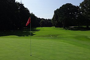 小金井カントリー倶楽部 HOLE12-3