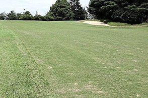 武蔵野ゴルフクラブ Vol2 HOLE14-2