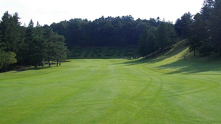 東京バーディクラブ HOLE11-2