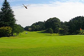 東京バーディクラブ HOLE16-3