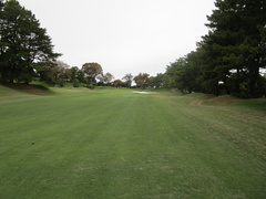 磯子カンツリークラブ 51 /