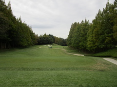 磯子カンツリークラブ 26 /