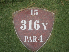 磯子カンツリークラブ 31 /