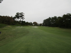 磯子カンツリークラブ 50 /