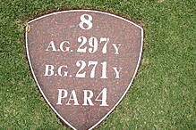 磯子カンツリークラブ NO8 ホール-1