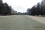 相模原ゴルフクラブ NO14 ホール-3