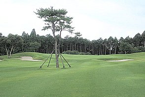 凾南ゴルフ倶楽部 HOLE17-3