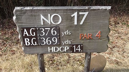 入間カントリー倶楽部 HOLE17-1