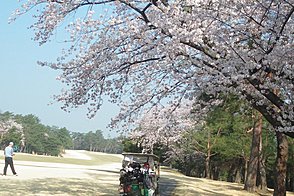 高坂カントリークラブ HOLE11-3