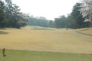 高坂カントリークラブ HOLE12-1