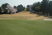 高坂カントリークラブ HOLE17-5