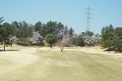 高坂カントリークラブ HOLE4-3