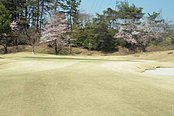 高坂カントリークラブ HOLE4-4