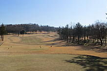 鳩山カントリークラブ NO15ホール-2
