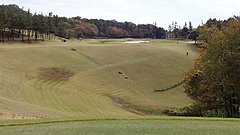 鳩山カントリークラブ 14 /