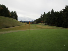 さいたま梨花カントリークラブ 11 /