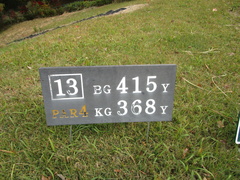 さいたま梨花カントリークラブ 19 /