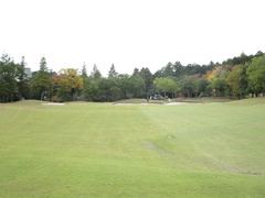 さいたま梨花カントリークラブ 51 /