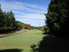 さいたま梨花カントリークラブ 8 /