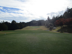 さいたま梨花カントリークラブ 14 /