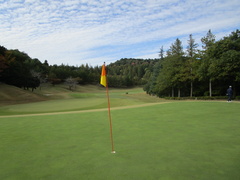 さいたま梨花カントリークラブ 17 /