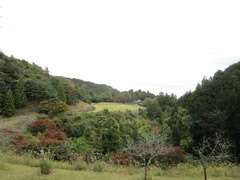 さいたま梨花カントリークラブ 20 /