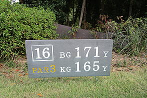 さいたま梨花カントリークラブ NO16 ホール-1