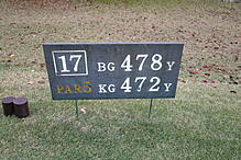 さいたま梨花カントリークラブ NO17 ホール-1