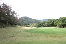 さいたま梨花カントリークラブ NO17 ホール-2