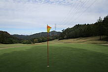 さいたま梨花カントリークラブ NO17 ホール-4