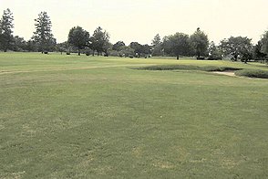 リバーサイドフェニックスゴルフクラブ HOLE14-3