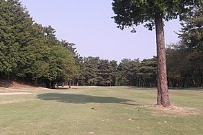 鎌ヶ谷カントリークラブ（中・東） HOLE1-2