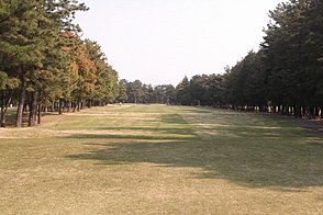 鎌ヶ谷カントリークラブ（中・東） HOLE3-2